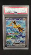 ポケモンカードゲーム|ポケモン