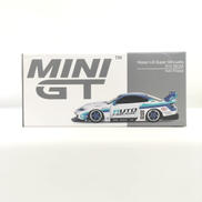 MINIGT|TSMMODEL