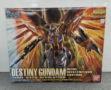 MG 1/100 ハイネ専用デスティニーガンダム|BANDAI