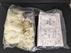 ゼクトール・ザ・ファイナル