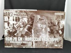 HGジム　モロッコ戦線仕様