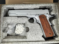 GSR REVOLUTION|WESTERN ARMS