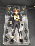 RAH　仮面ライダーアギト　グランドフォーム|MEDI COM TOY