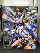MG 1/100 ストライクフリーダムガンダム|BANDAI