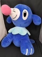 アシマリ|ポケモン