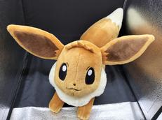 ポケモン　イーブイ|ポケモン
