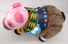 ハルウララ|エムエイオフィス