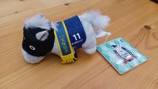 ゴールドシップ　宝塚記念|エスケイジャパン