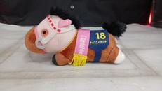 キョウエイマーチ　桜花賞|エスケイジャパン