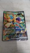 ホップのザシアンEX|ポケモン