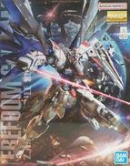 1/100 MG F91 ガンダムF91 Ver.2.0