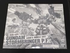 ガンダムストームブリンガー Ｐ.Ｆ.|BANDAI