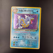 旧裏わるいギャラドス　LV.31|ポケモン