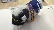 ゴールドシップ　第151回天皇賞|エスケイジャパン