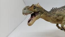 アロサウルス|パポ