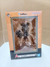 日向翔陽A賞|BANDAI