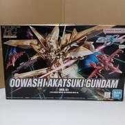 HGオオワシアカツキガンダム