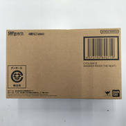 S.H.Figuarts　サイクロン2号|BANDAI