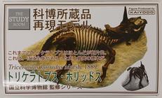 科博所蔵品再現モデル|海洋堂