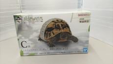 一番くじ　爬虫類＆両生類|BANDAINAMCO