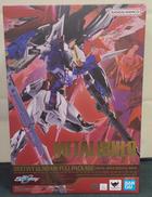 デスティニーガンダム　フルパッケージ|BANDAI