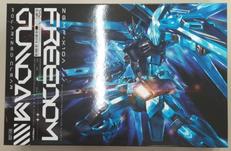 【内袋未開封】フリーダムガンダム ポラライズドクリア