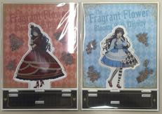 【未開封】和栗薫子|イーディス