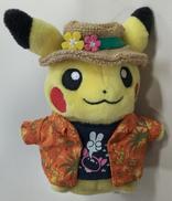 アローラフェスティバル ピカチュウ|POKEMON