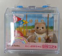 【未開封】えにっき赤ちゃん9月　かけっこ|エポック