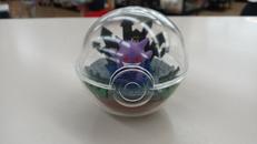 ゲンガー テラリウムコレクション|リーメント