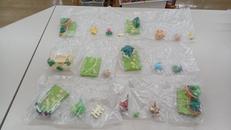 ポケモンガーデン 木漏れ日の午後|リーメント