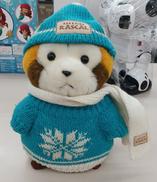 あらいぐまラスカル|TMR