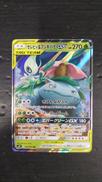 ポケモンカードゲーム|株式会社ポケモン