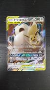 ポケモンカードゲーム|株式会社ポケモン