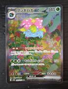 ポケモンカードゲーム|株式会社ポケモン