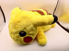 ポケットモンスター|POKEMON