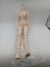 ドルフィードリーム|VOLKS