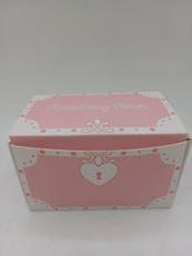 すとぷり(すとろべりーぷりんす)|STPR INC.