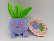 ポケットモンスター|POKEMON