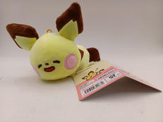 ポケットモンスター|POKEMON