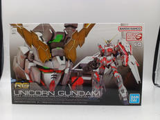 RG 1/144|BANDAI