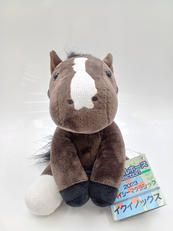アイドルホースSELECTION|PRC(中央競馬ピーアール・センター)