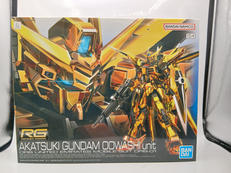 RG 1/144|BANDAI