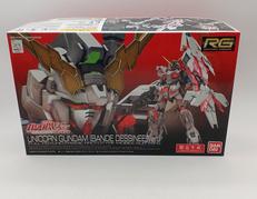 RG 1/144