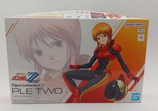 FIGURE-RISE STANDARD