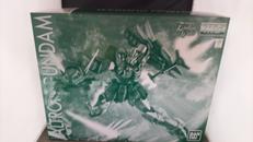 MG　アルトロンガンダムEW|バンダイ