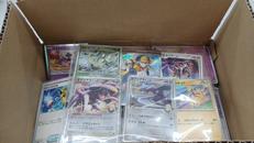 ポケモンカードお楽しみボックス|POKEMON