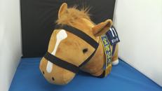 オルフェーヴル|エスケイジャパン