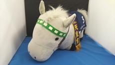 メジロマックイーン|エスケイジャパン