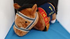 ソールオリエンス|エスケイジャパン